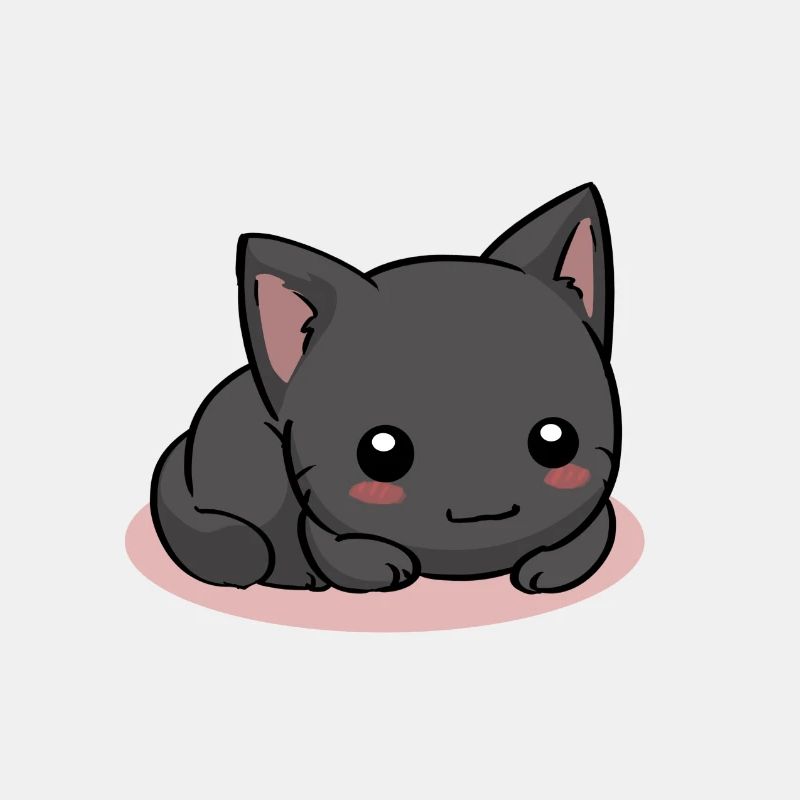 Black cat