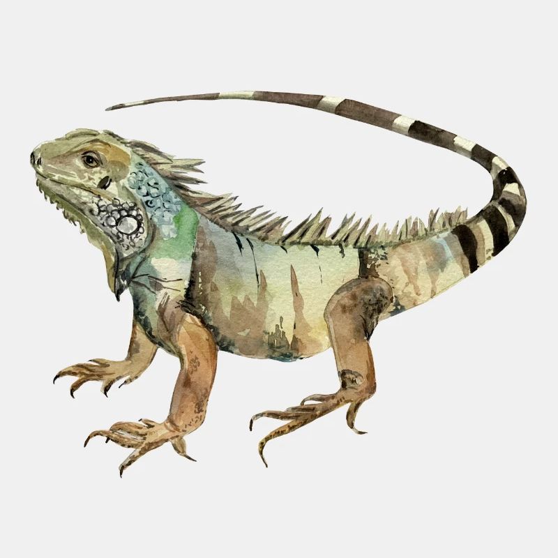 Leguan