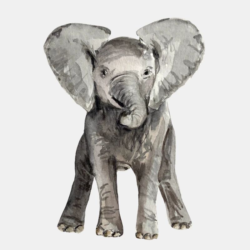 Elefant Baby