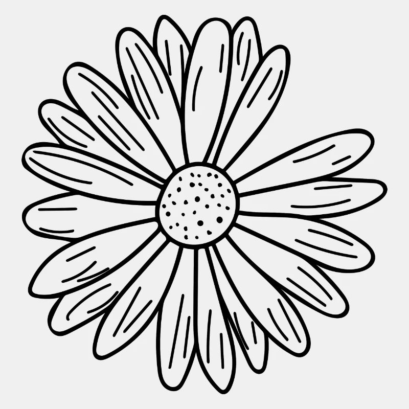 Gänseblümchen Blumenblätter