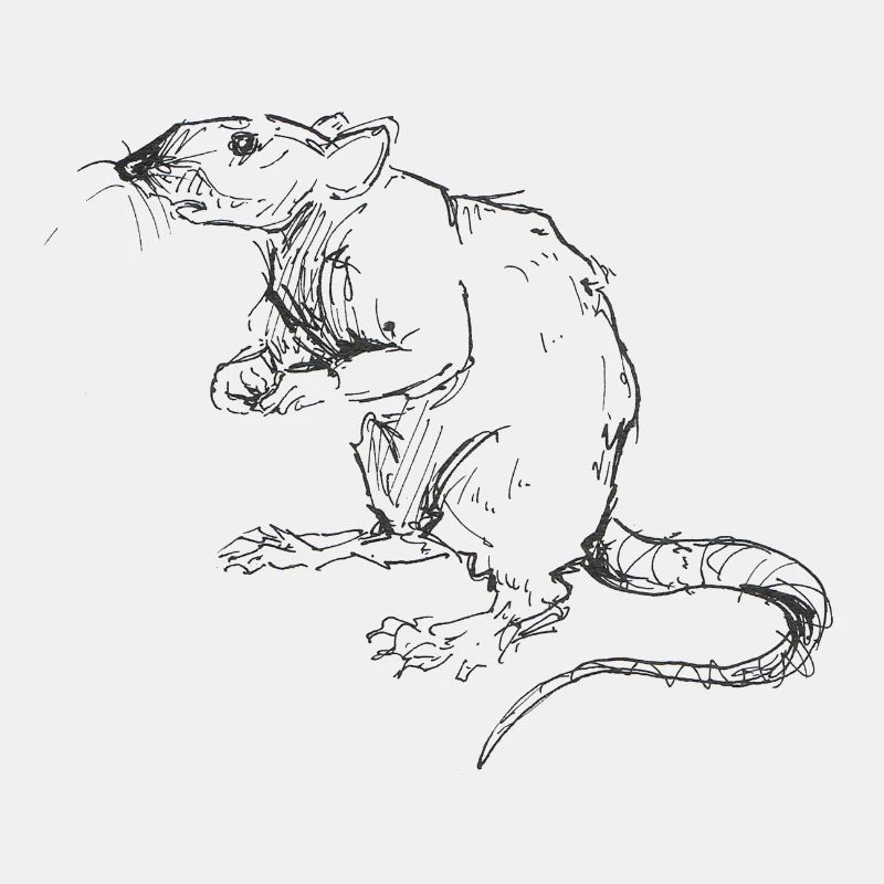 Ratten-Motiv