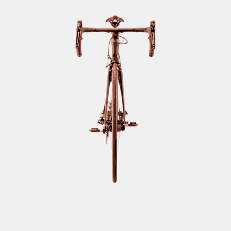 Bicycle front reddish shirt front