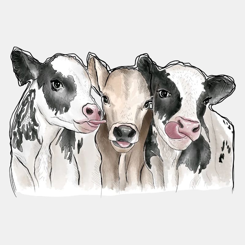 Amis de vaches