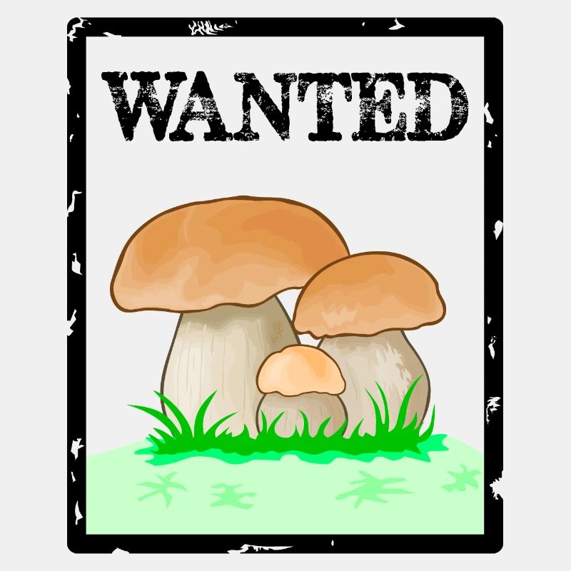 Recherché, cèpes, champignon pour hommes, champignon Röhrling