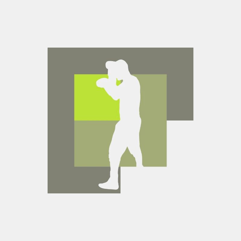 Schlag Boxing Stance