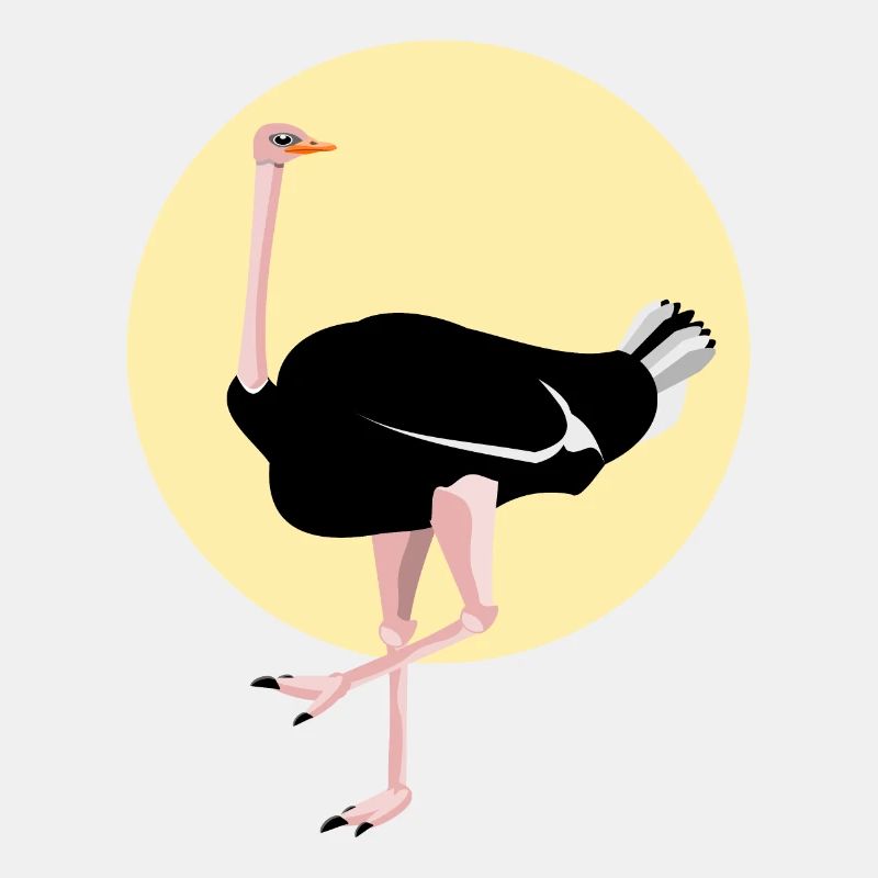 Cute Ostrich Netter Strauß
