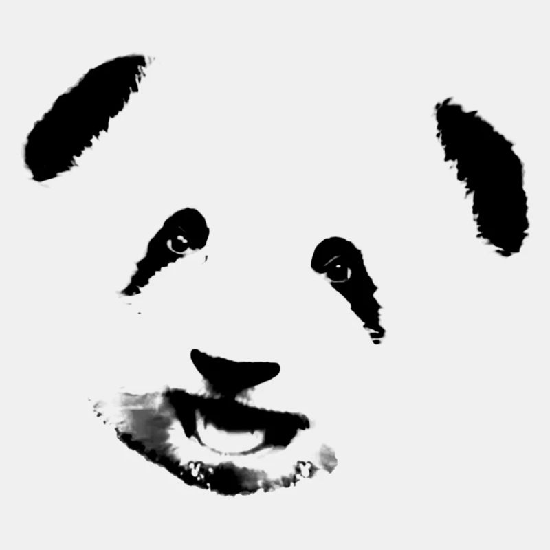Panda,pandabär,bär, Graffiti,schwarz