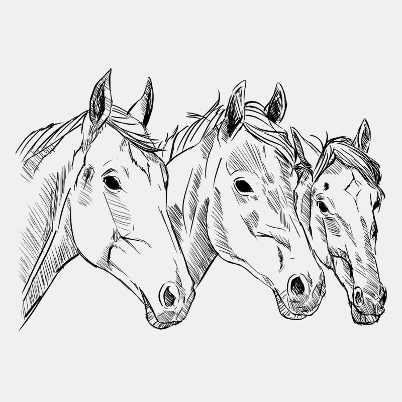 Têtes de chevaux dessinés à la main, illustration, cavalier