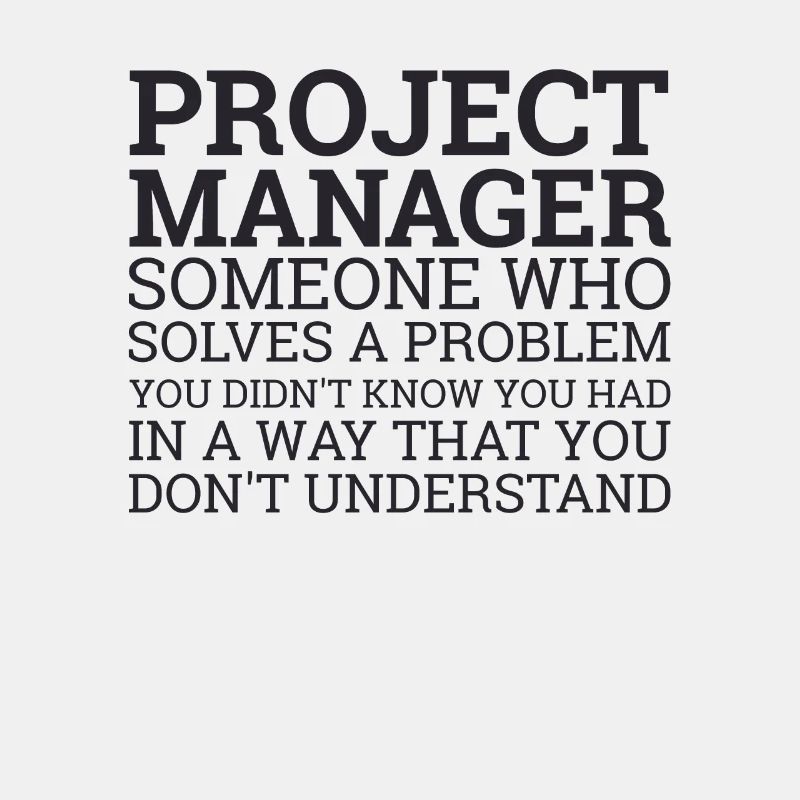 Project Manager Solve Problems | Project Manager