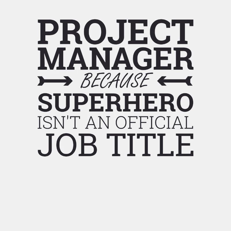« Project Manager Superhero | Project Manager »