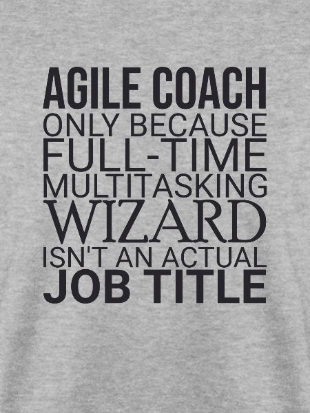 "Agile Coach Wizard | Agile"