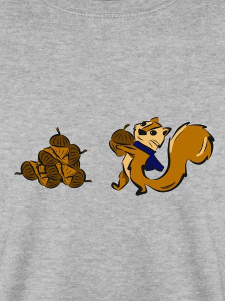 Squirrel collects nuts