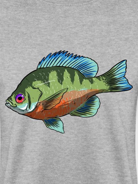 BlueGill Fish Regenbogen Sonnenbarsch