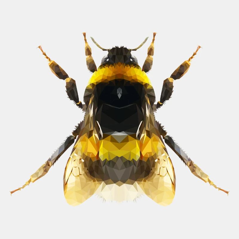 Hummel