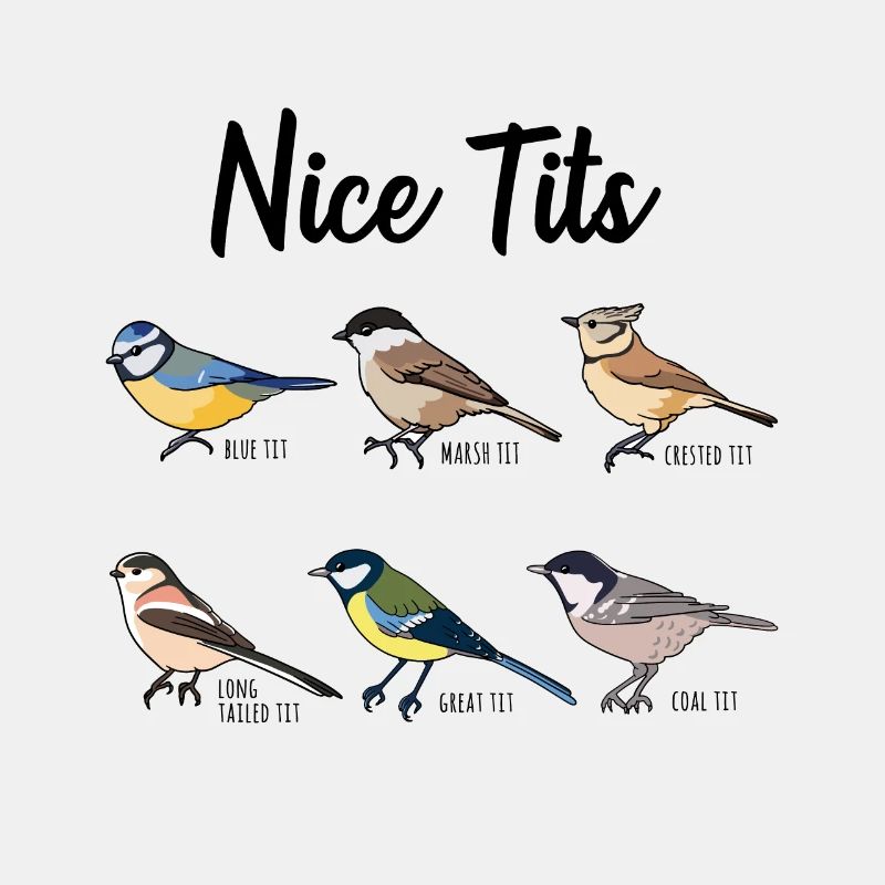 Nice Tits - Observation d'oiseaux drôle