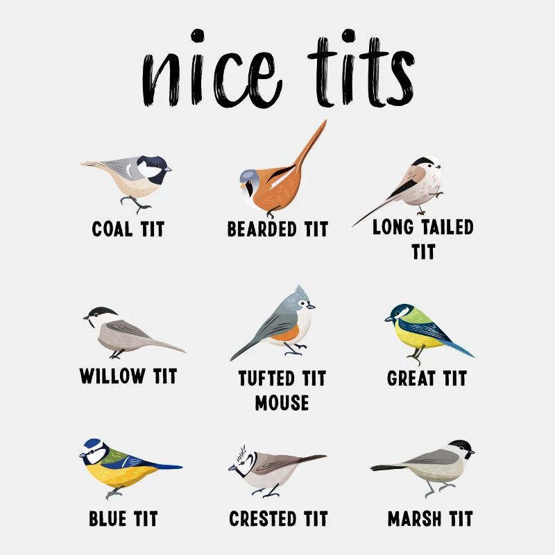 Nice Tits Tufted Titmouse Bird regarder Gift Funny