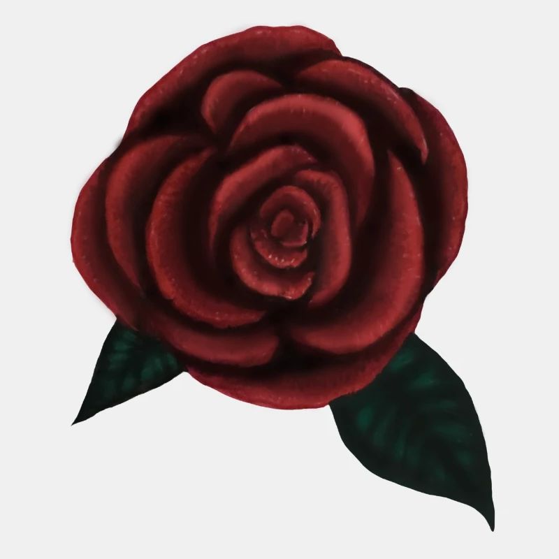 Eine Rose