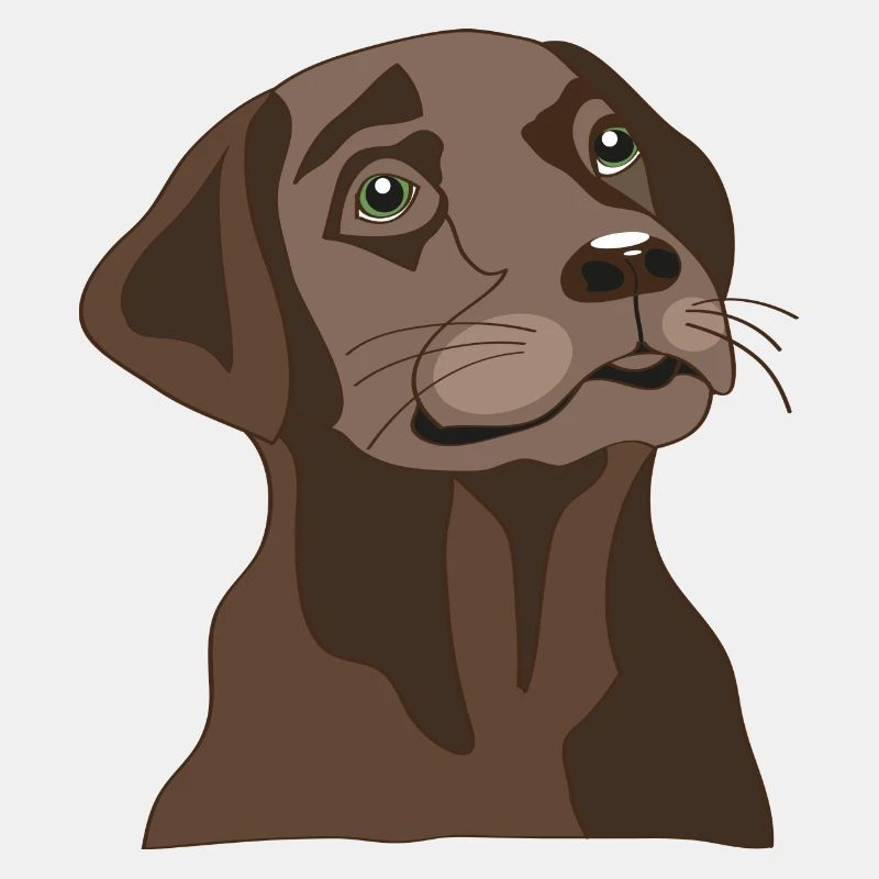 Brauner Labrador