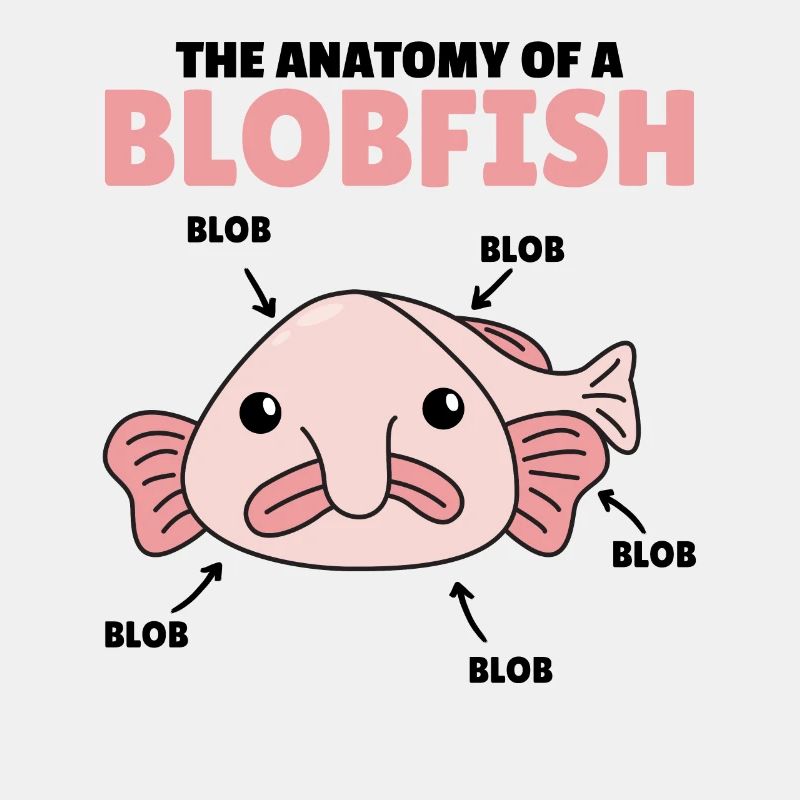 Blobfish Explication Anatomie d’un Blobfish