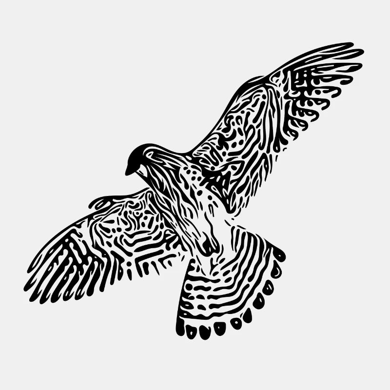 Falcon en vol
