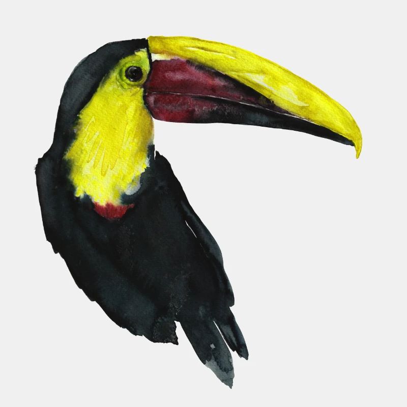 Tukan