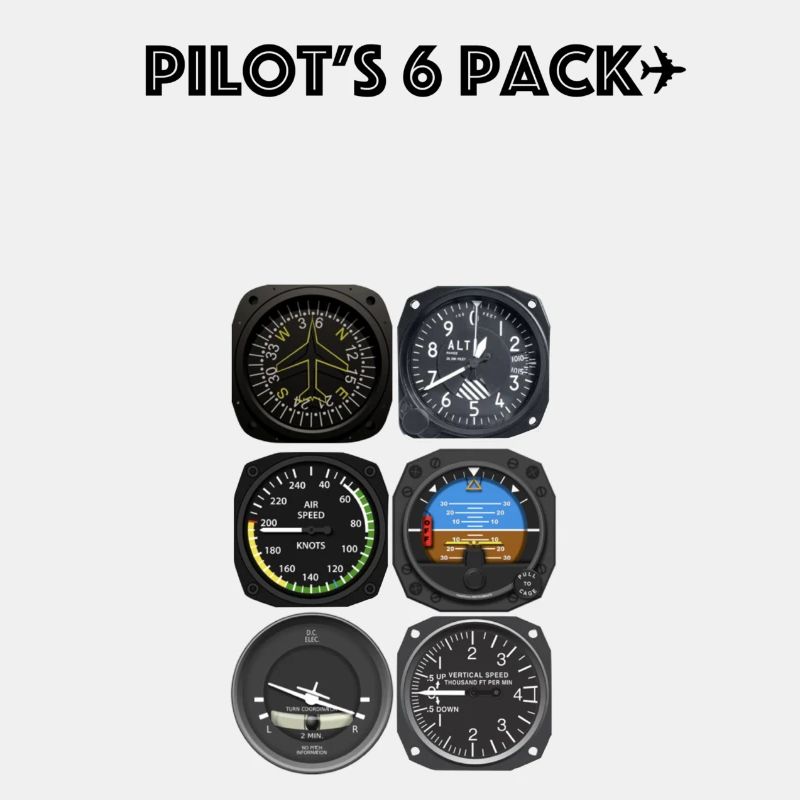 Pack de 6 pilotes.