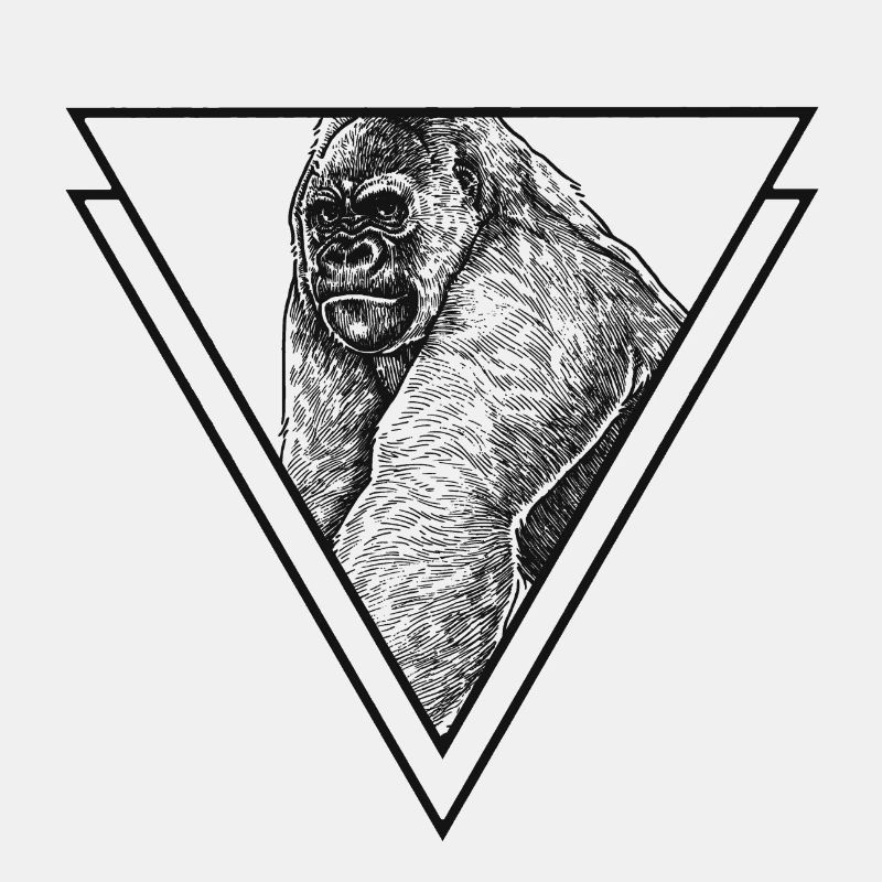 Gorilla Silberrücken