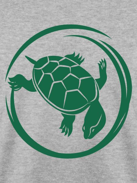 Schildkröte / Kriechtier - Reptilie