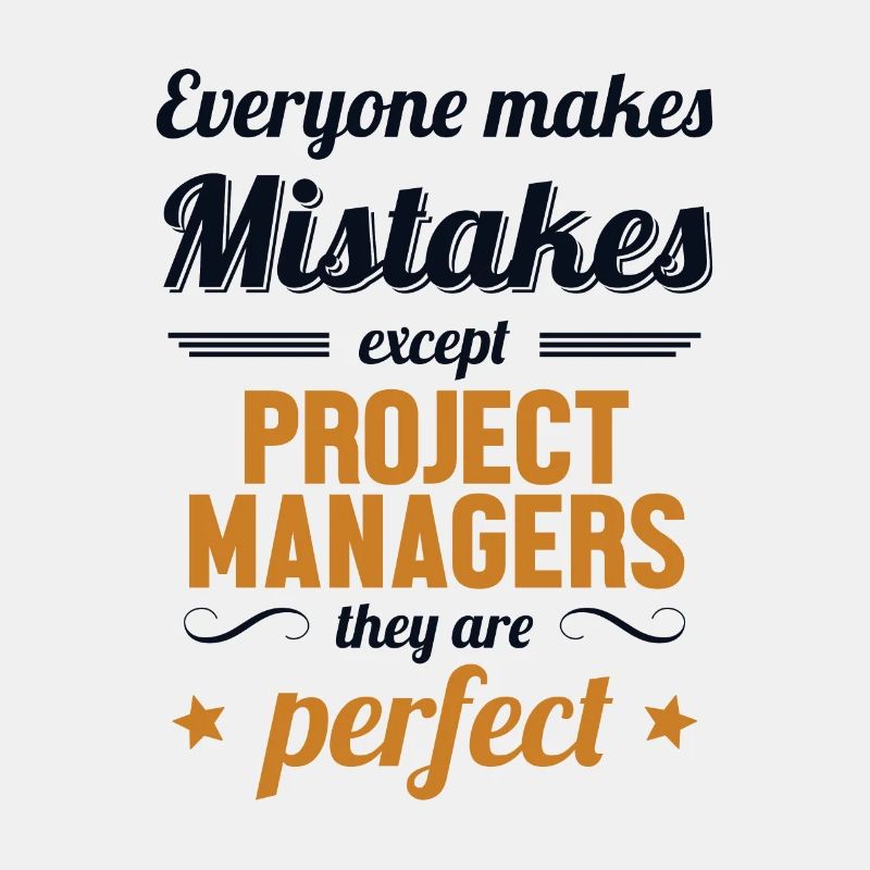 Project Manager are Perfect IT Project Manager