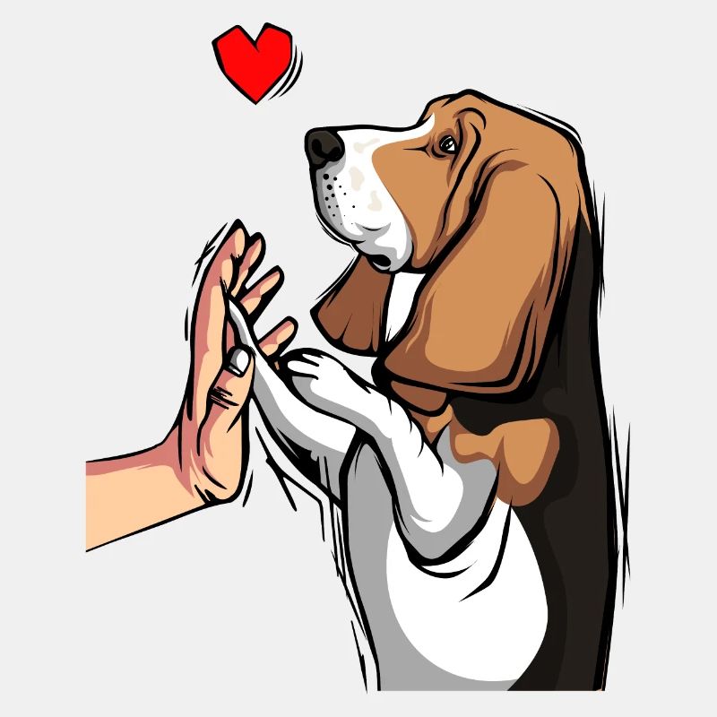 Basset Hound