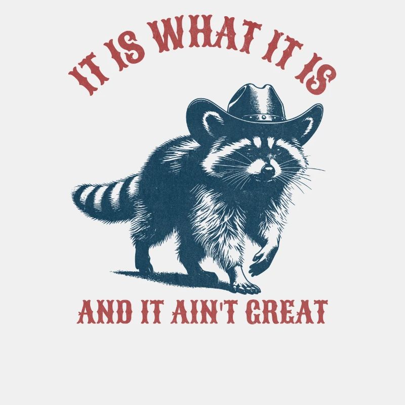 it is what it is and it aint great raccoon