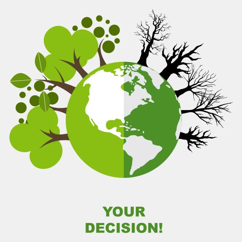 Your Decision