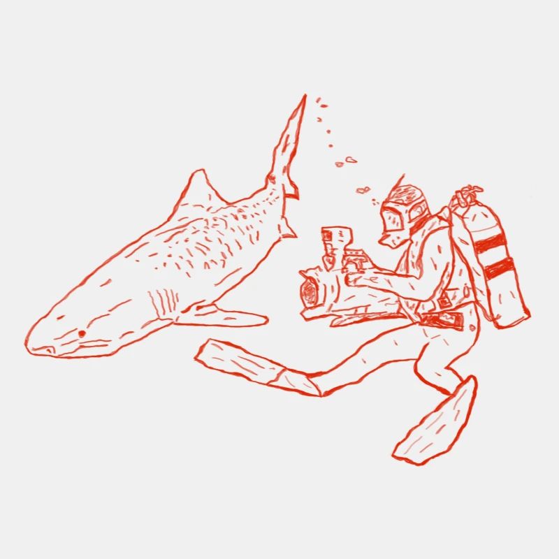 Shark with camera diver