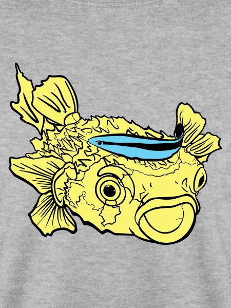 Igelfisch Kugelfisch Putzerlippfisch