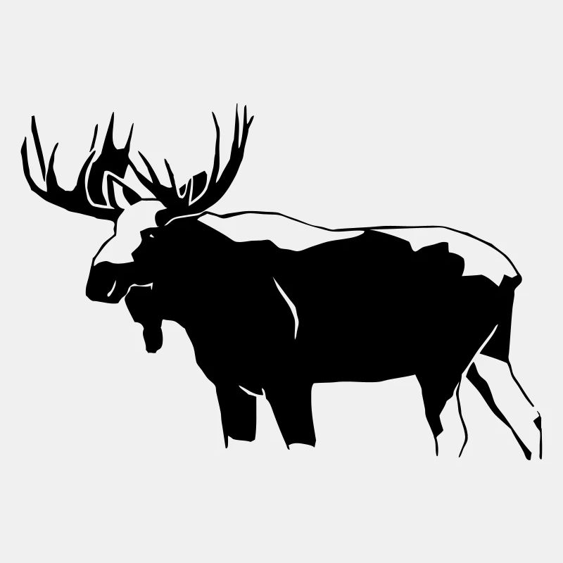 Elch - Moose