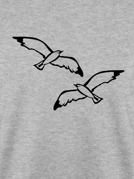 Vögel Vogel Möwen