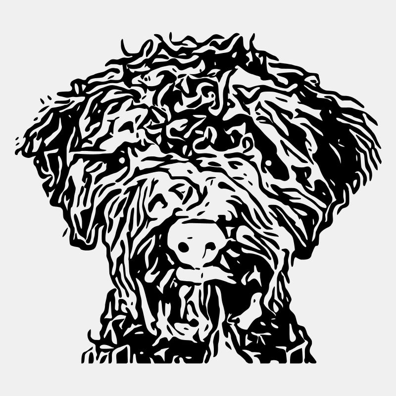 lagotto3 5