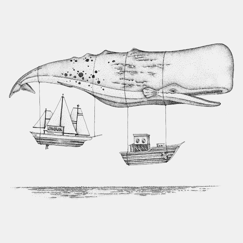 Fliegende Walboote
