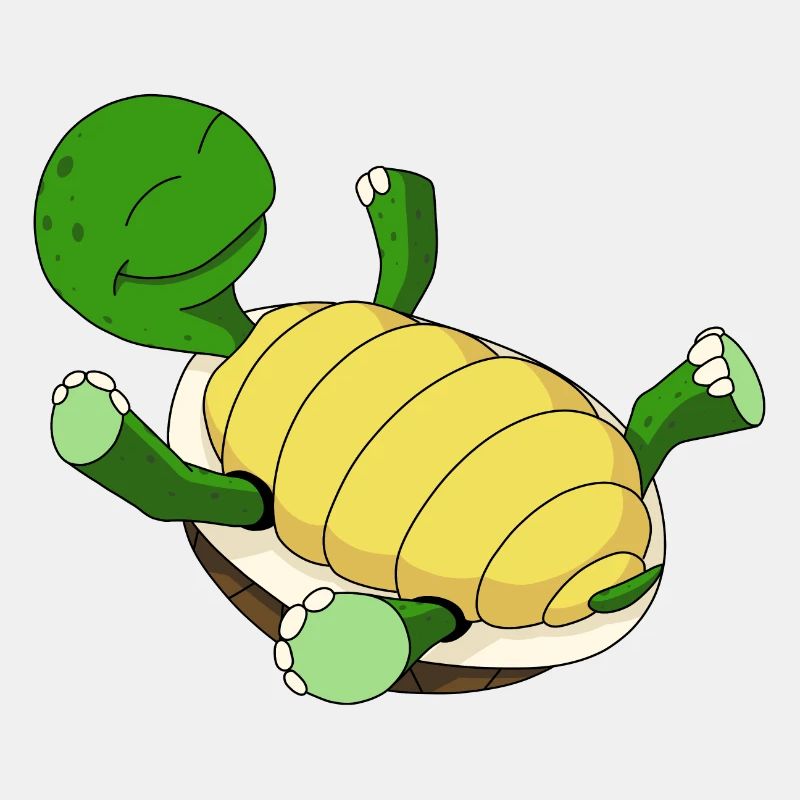 Turtle on its back