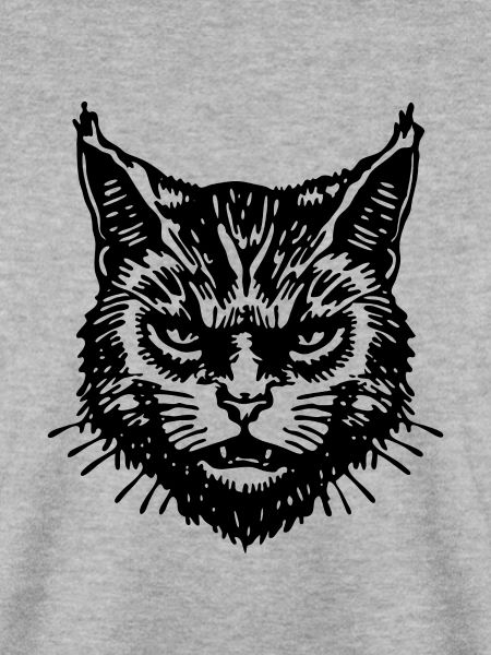 Katzen Katzendame Katzenfreund Katzengesicht