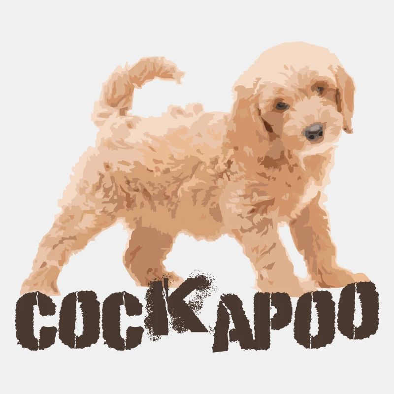 Cockapoo