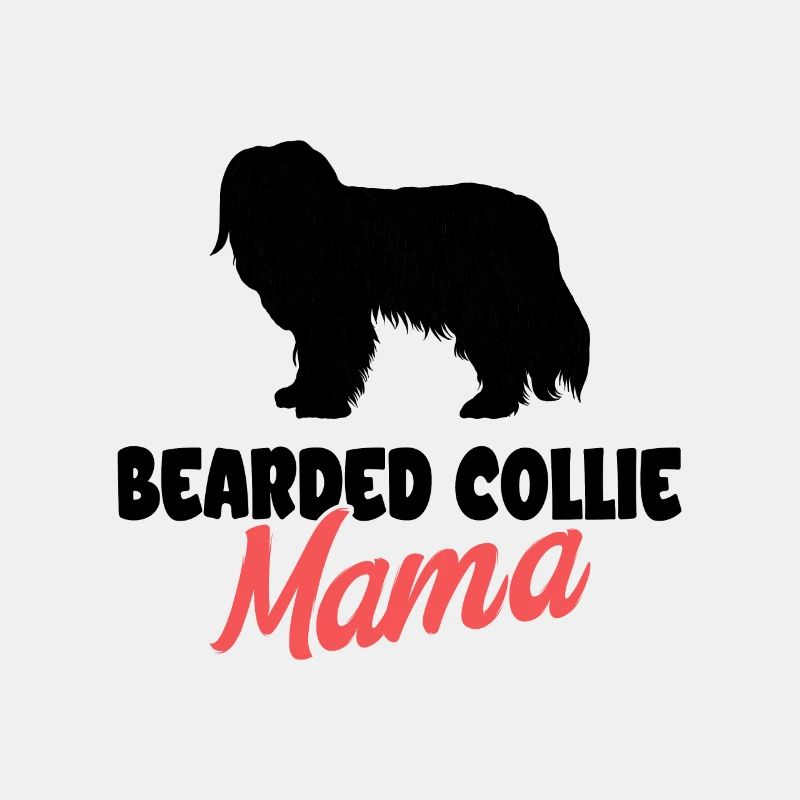 Collie barbu