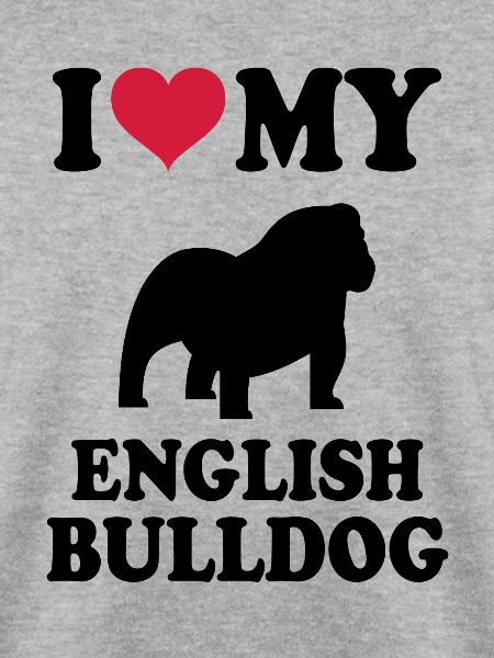 English Bulldog