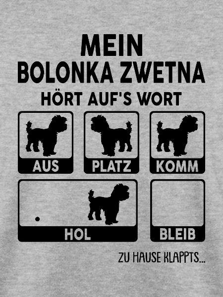 Bolonka Zwetna