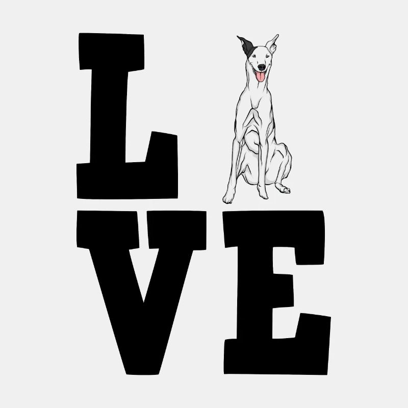 Galgo