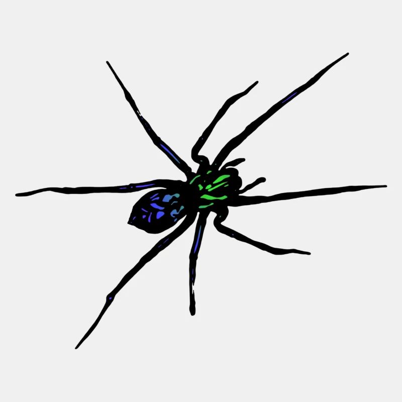 Araignée