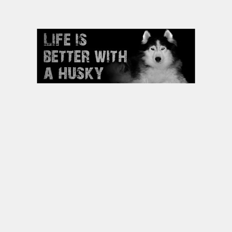 Siberian Husky