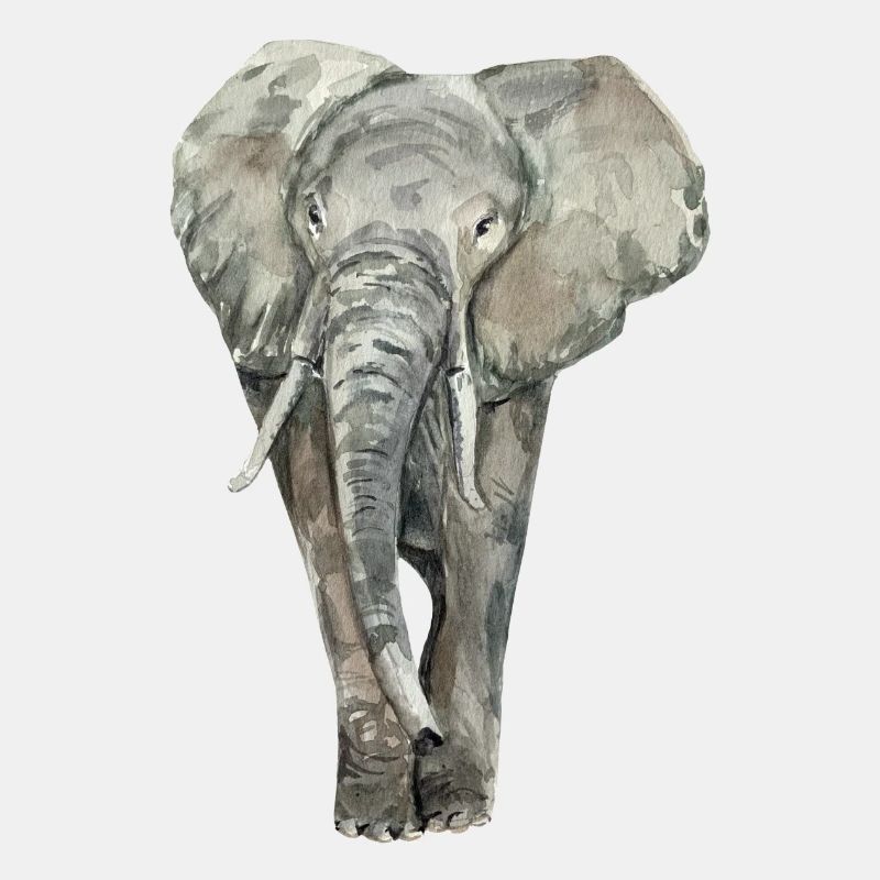 Éléphant