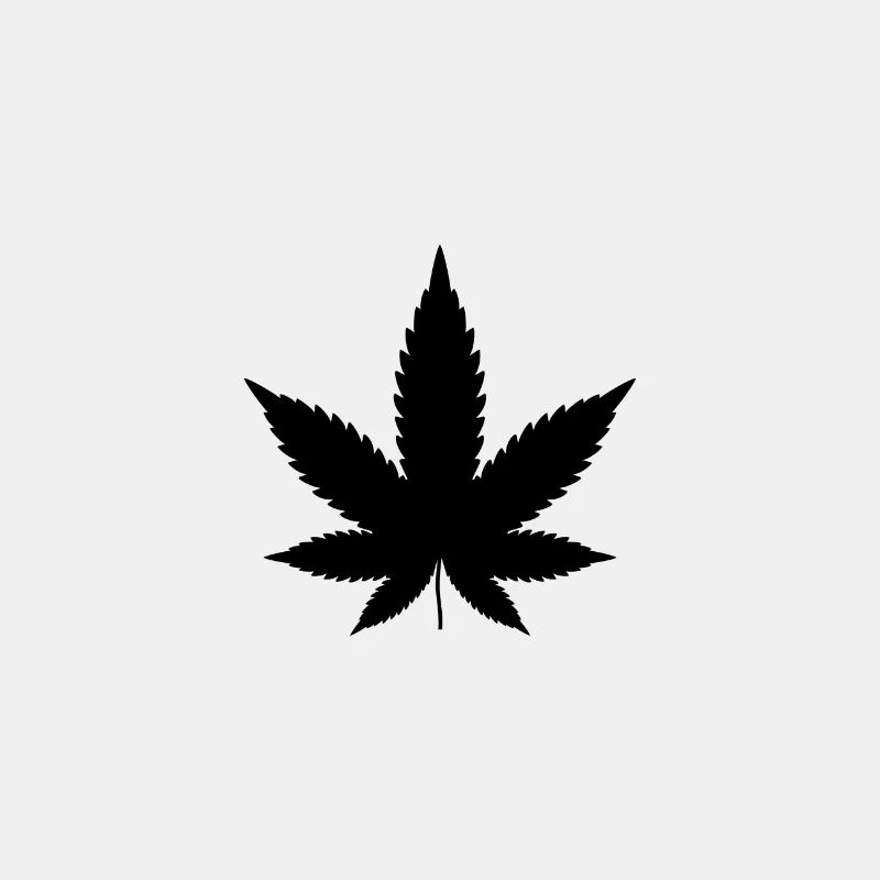 Feuille de Canabis, feuille de chanvre, marijuana