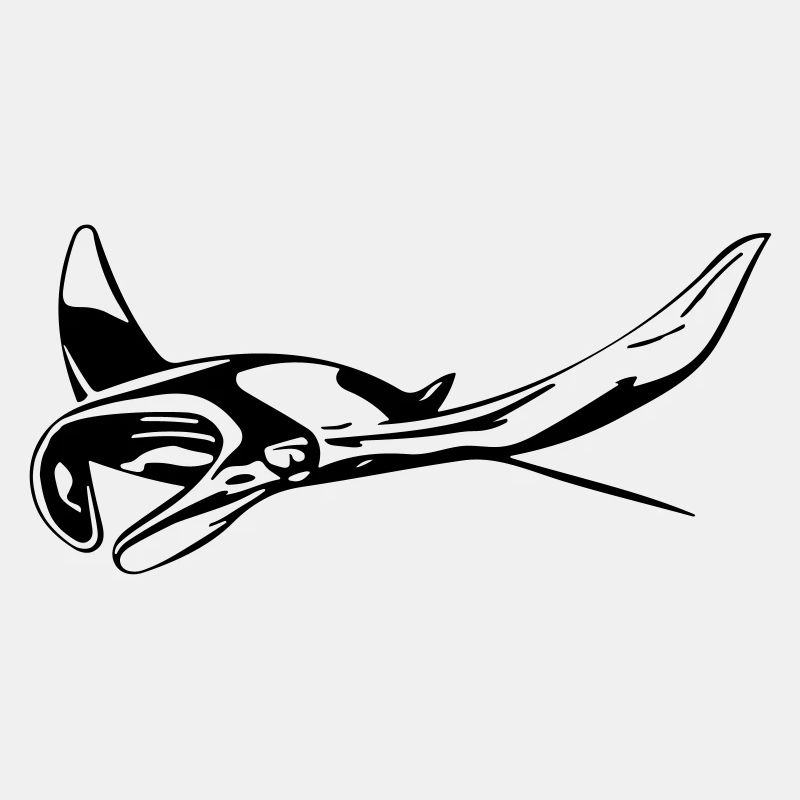 Manta Rochen